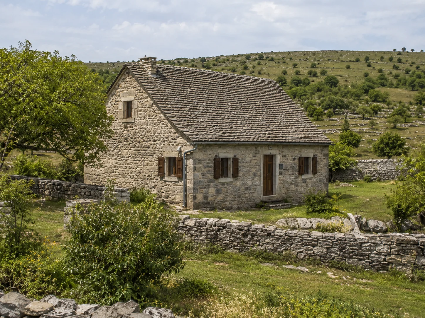 Image link