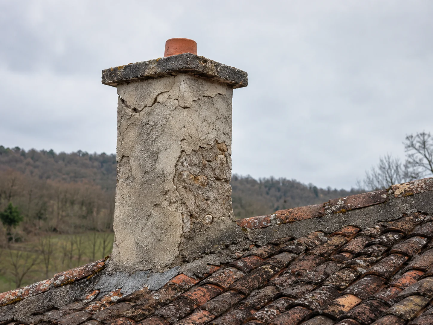 Image link
