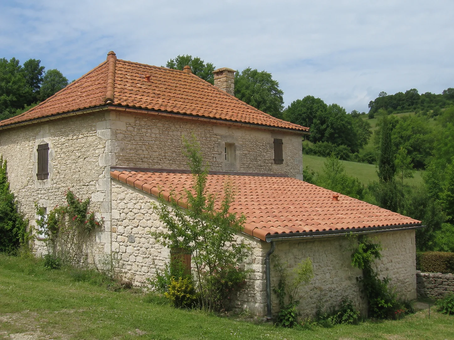 Image link